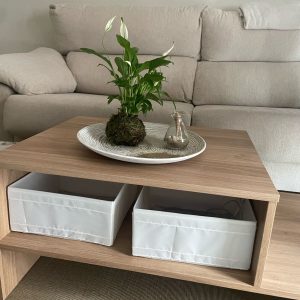 Kokedama con plato decorativo